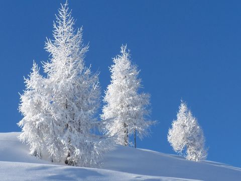 抖音最火伤感文案大全 可怜的疑心病，用感情杀了感情