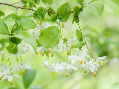 小孩第一次参加夏令营朋友圈怎么发 孩子参加夏令营发朋友圈的短句