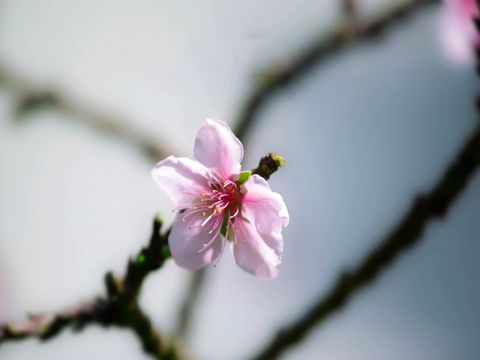 六月第一天的心情说说 迎接六月第一天的微信说说