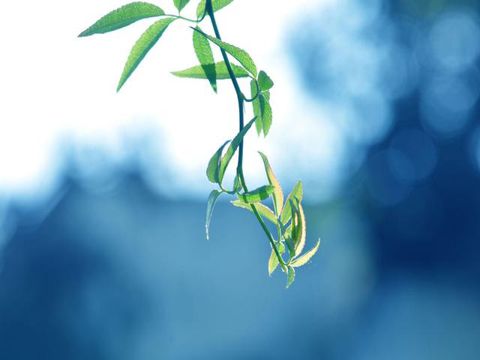 最新关于朋友的霸气说说带图片大全 今天吵明天笑