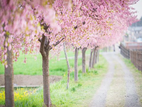 2023女孩子发自拍时应该怎么夸 夸女生的自拍评论