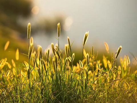 女生可爱说说心情短语大全 适合发朋友圈的女生可爱求点赞的说说