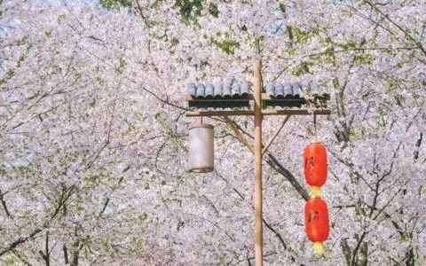 适合下雨天发的朋友圈的心情说说搞笑有创意 下雨天怎么发个幽默朋友圈