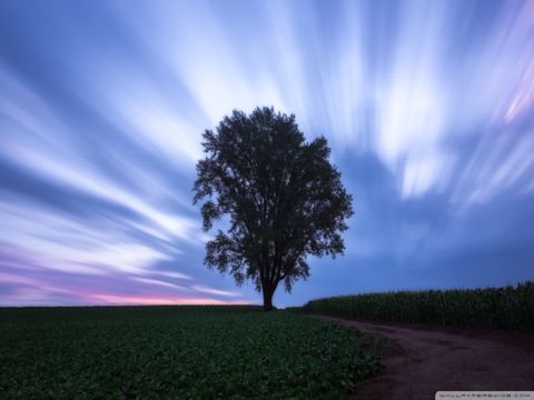 人生感悟的句子简短的 句句精辟现实