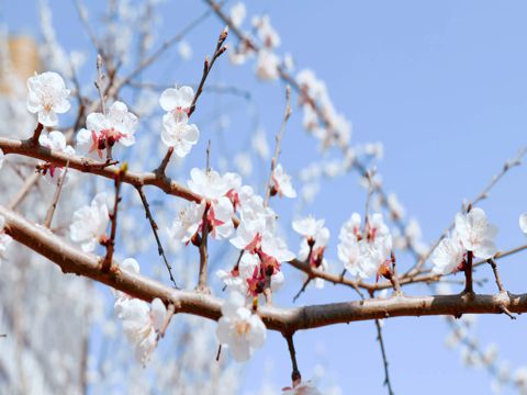 表示心很累的心情说说大全 承受过许多背叛也曾经狼狈不堪