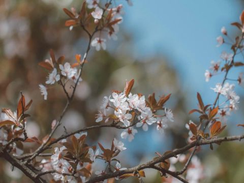 期待夏天来临的温柔句子 2023期待夏天到来的说说