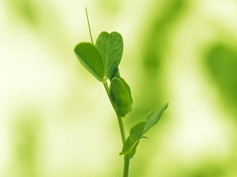 朋友离别伤感句子  月朦胧，鸟朦胧，我悄悄送你远行