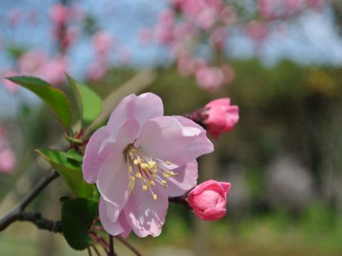 分手之后的心情说说霸气大全 有关分手的心情句子真实一点的