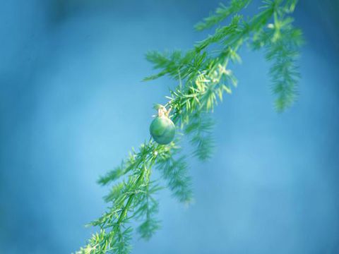 天气反差大的幽默说说 天气一冷一热的幽默短句