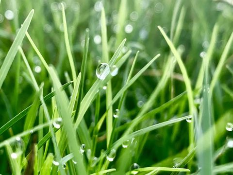 2023关于下雨天的心情说说伤感 一个人坐在窗前数雨滴