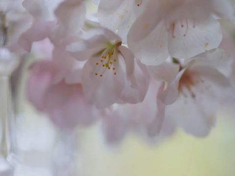 伤感孤独的微信说说心情短语 最好的时光里我像一个拾荒者