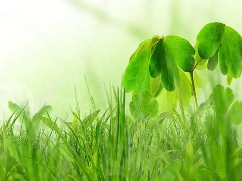 适合下雨天发朋友圈的一句话心情说说 下雨天微信说说大全经典唯美