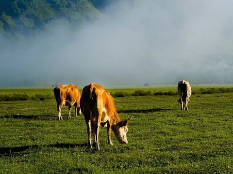 唯美心情说说最新版设计 他用十年扮演一个过客