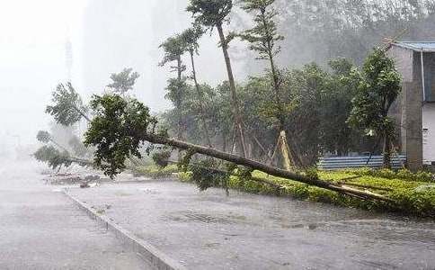 防台风暴雨应急处置预案