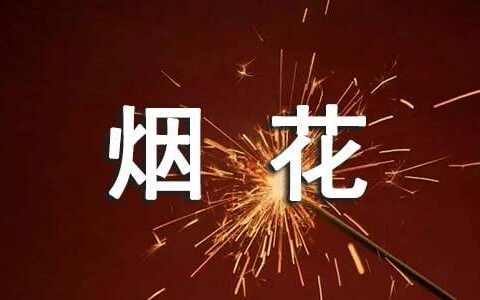 烟花爆竹工作汇报精选6篇