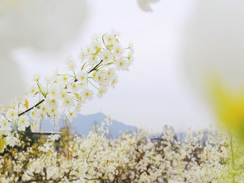 油价太贵加不起的心情说说 调侃油价贵的心情句子