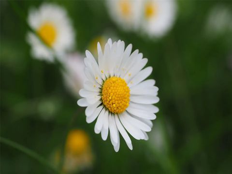 下雨了想发个朋友圈心情说说2022 朋友圈下雨经典语录大全