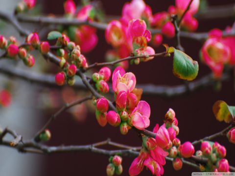 关于伤感的唯美句子大全  请不要假装对我好，我很傻，会当真的