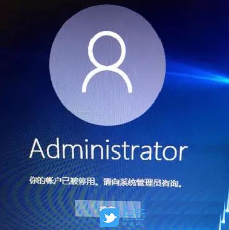 win10系统账户被禁用了怎么办（win10账户已被停用的解决方法）