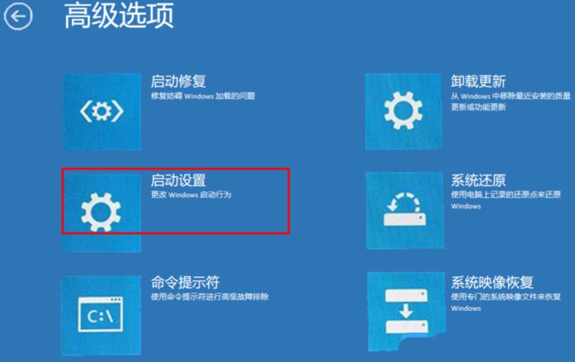 win10系统账户被禁用了怎么办（win10账户已被停用的解决方法）