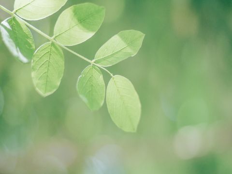 伤感丧丧的微信状态句子 难过心酸的微信状态文案