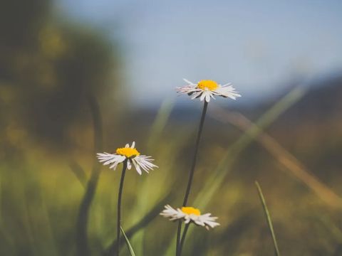 男生伤感说说大全痛不欲生 伤感说说男生大全2022最新