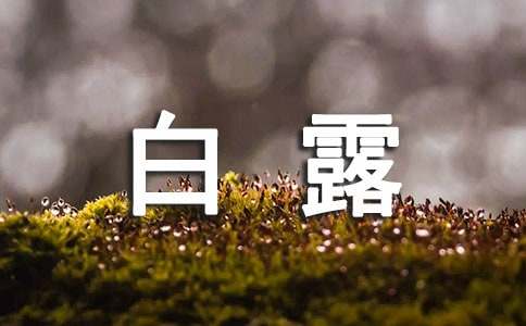 白露短信简短祝福语（精选220句）