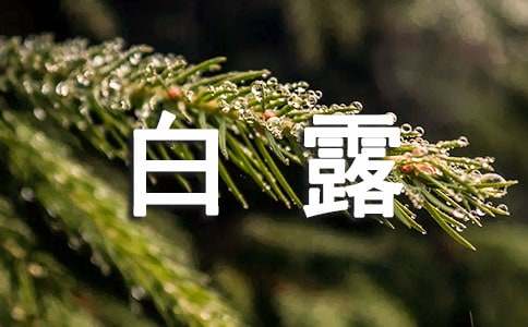 幼儿园白露活动教案（通用17篇）