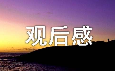 《八角笼中》观后感（精选48篇）