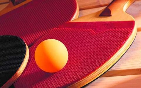 小学生乒乓球比赛方案8篇