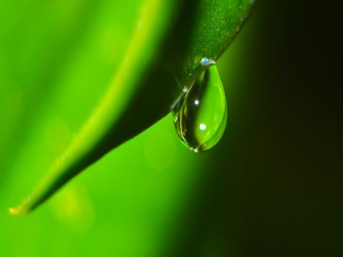 特别暖心的情话一段话  曾因酒醉鞭名马，生怕情多累美人