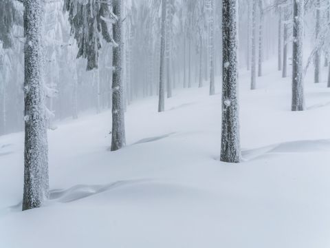 下雪天表白情话  寒来暑往，秋冬要珍藏