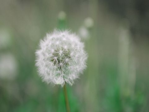 为了友情放弃爱情句子  谁要求没有缺点的朋友，谁就没有朋友