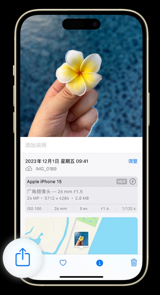 如何在 iPhone 上将照片转为 JPG 格式共享给他人？