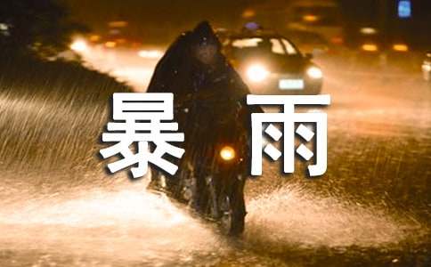 暴雨天气应急预案