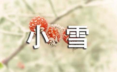 小班语言儿歌小雪花教案（精选10篇）