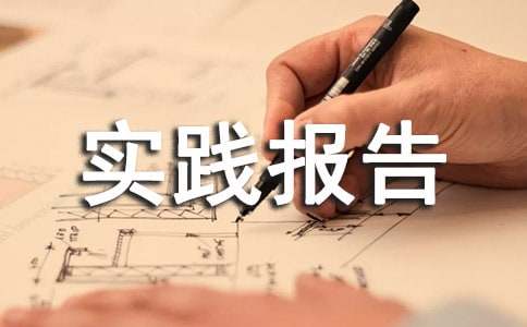 寒假社会实践报告(精华)