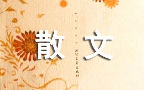 名家经典散文（精选20篇）