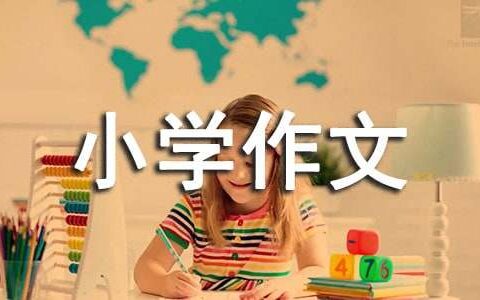 一张纸的旅行小学作文