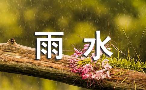 雨水节气文案(15篇)