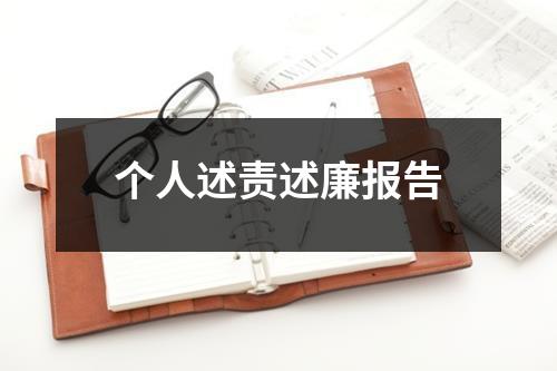 个人述责述廉报告