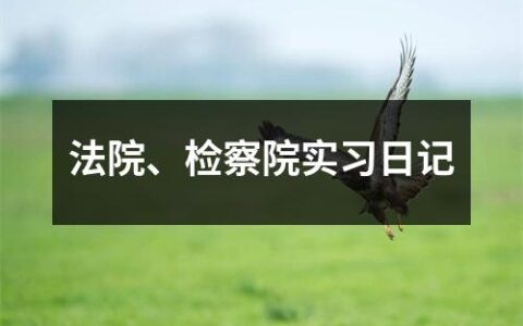 法院、检察院实习日记（精选8篇）