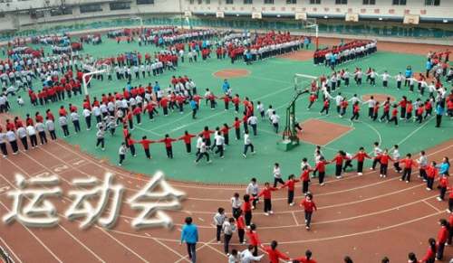 精彩的运动会 An Exciting Sports Meeting