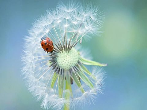 五四青年节怎么发朋友圈 适合青年节发朋友圈的说说