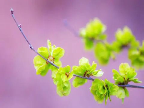 祝前任幸福的句子简短 真心祝福前任的朋友圈