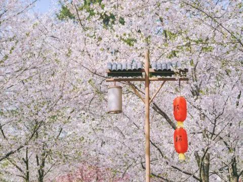 双十一光棍节的说说怎么发 双十一朋友圈微信说说