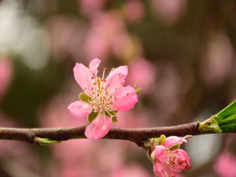 祝前任幸福的句子简短 真心祝福前任的朋友圈