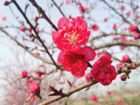 愚人节的说说怎么写 关于愚人节的说说大全搞笑系列2023