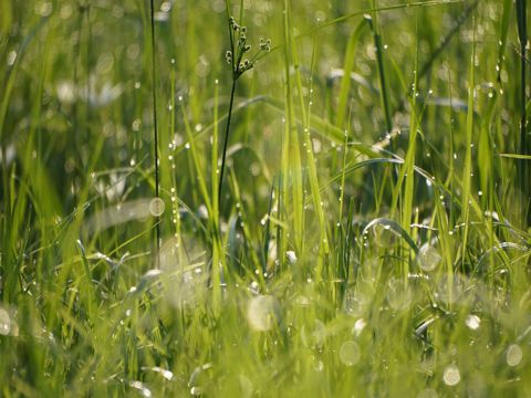 六一儿童节朋友圈说说大全  适合发朋友圈的儿童节说说