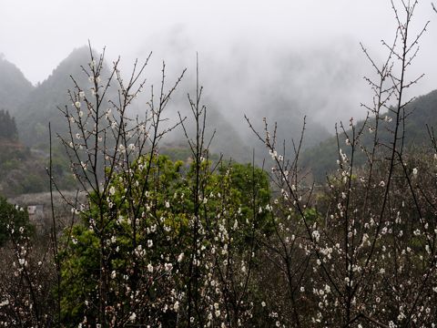 八一建军节祝福语说说67句 纵观风云变幻，望红色星火已燎原